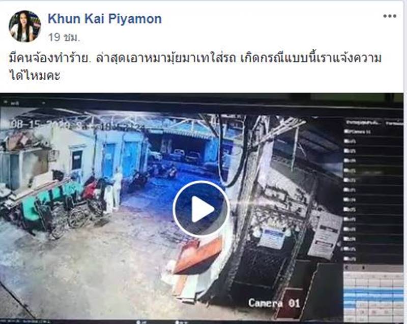 เอาหมามุ่ยเทใส่รถ