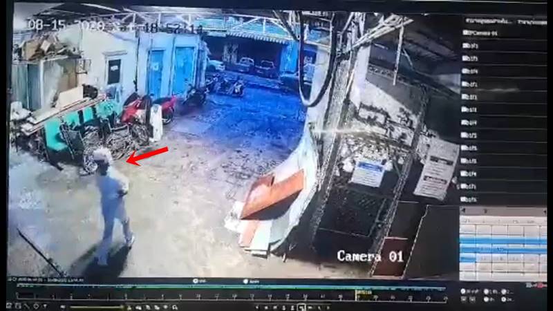 เอาหมามุ่ยเทใส่รถ