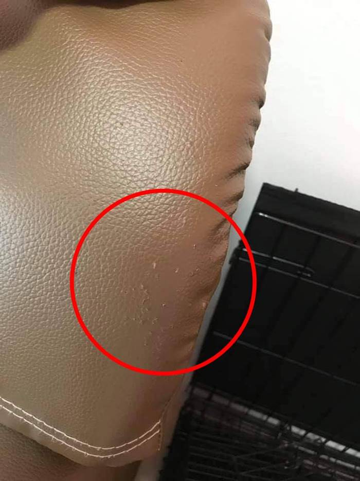 ร้องเรียนหอพัก