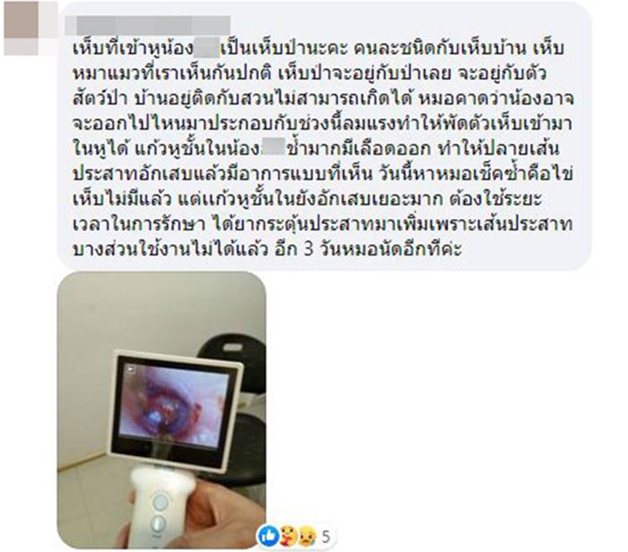 เห็บป่า