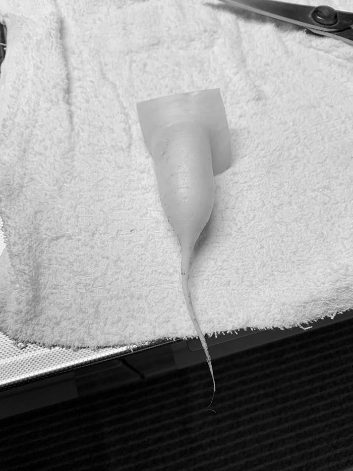 หัวไชเท้า