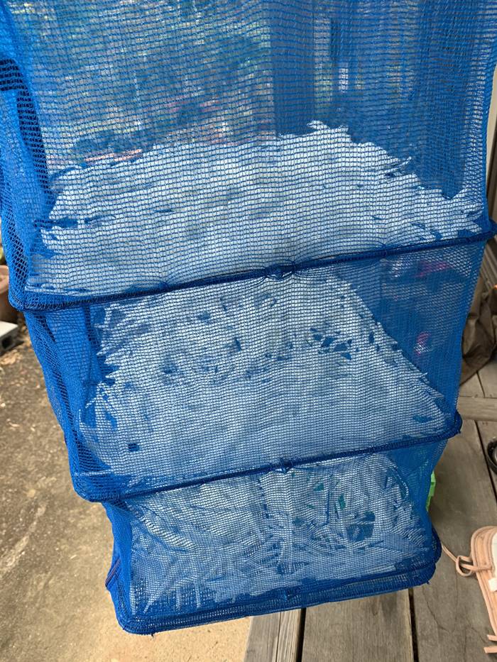 หัวไชเท้า