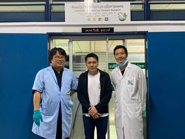 กลิ่นกัญชาเทียม