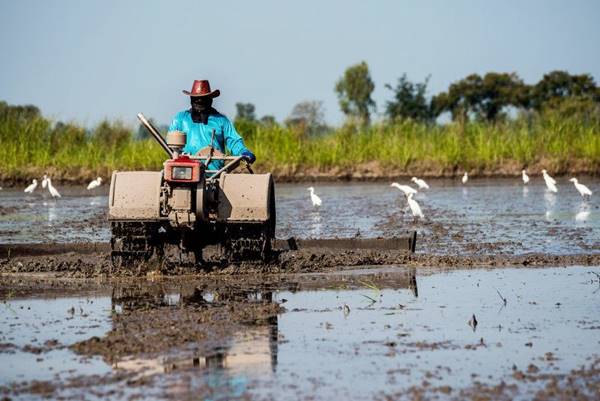 ใบขับขี่รถการเกษตร