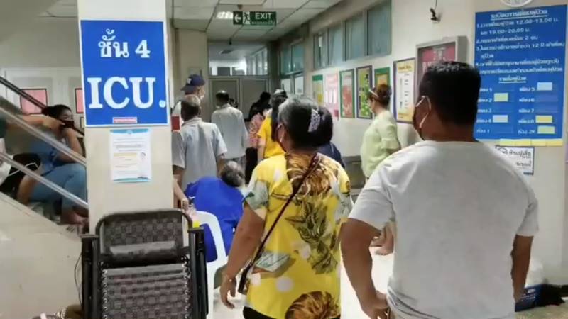 แมงมุมกัด