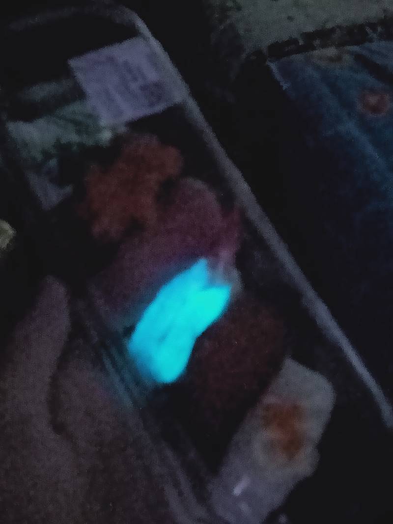 ซูชิเรืองแสง