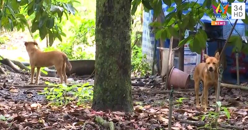 น้องกานต์