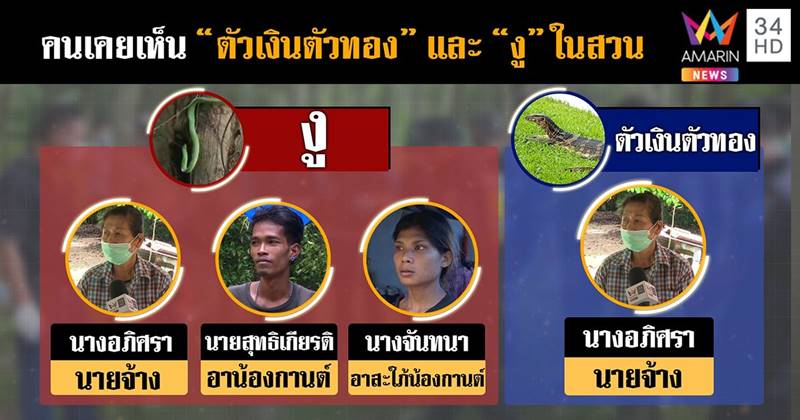 น้องกานต์