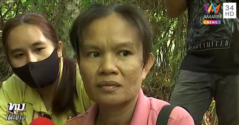 ข่าวน้องชมพู่