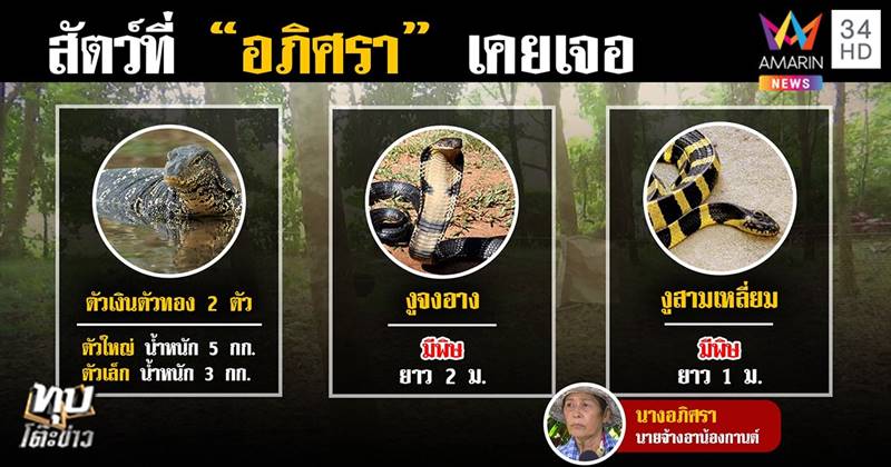 น้องกานต์