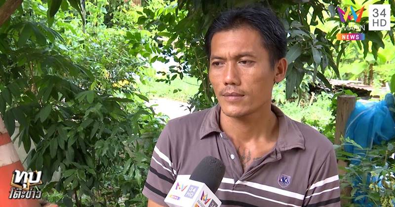 ข่าวน้องชมพู่