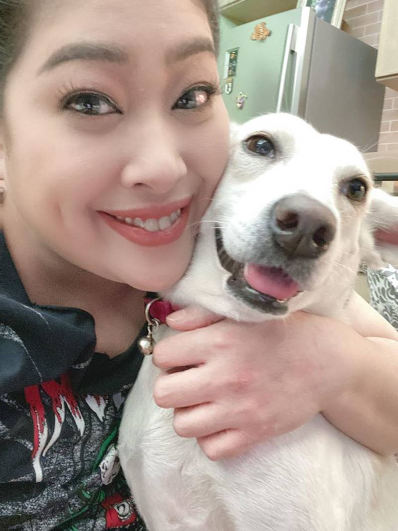 สุนัขทรงเลี้ยง