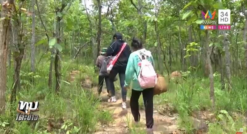 น้องชมพู่