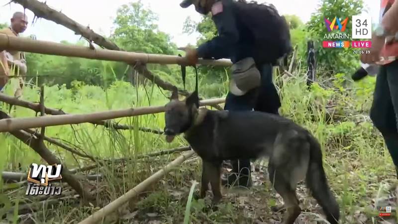 คดี น้องชมพู่