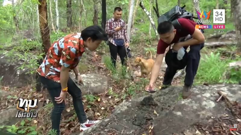 คดี น้องชมพู่