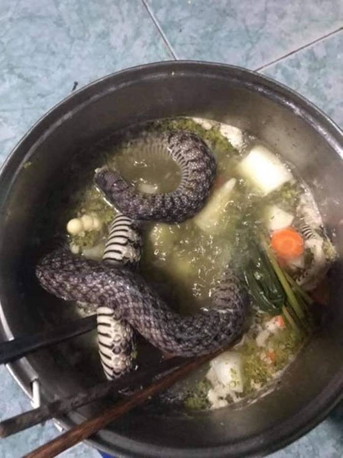 เมนูเปิบพิศดาร