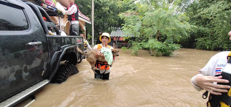 น้ำท่วมปากช่อง