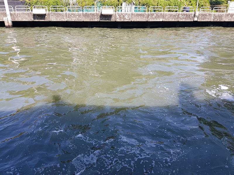 กระโดดน้ำคลองแสนแสบ