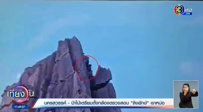 พญาวานร