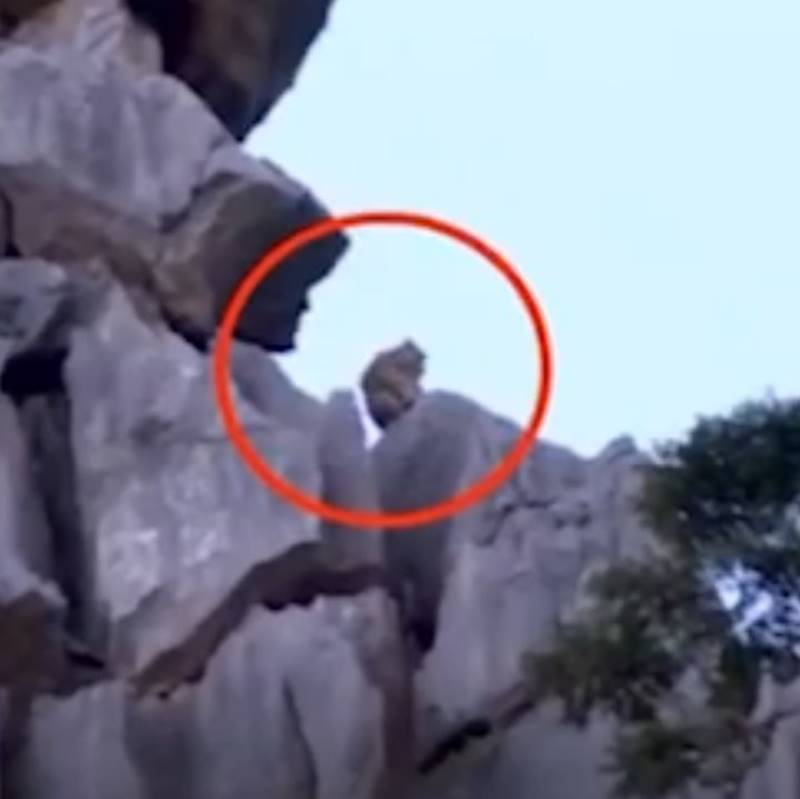 พญาวานร