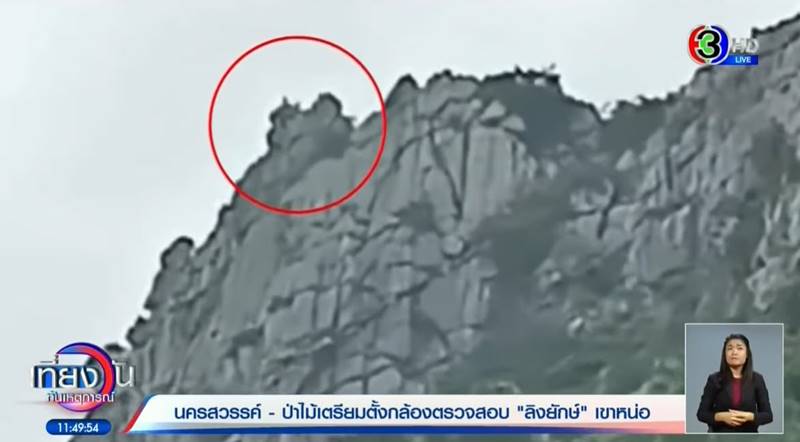 พญาวานร