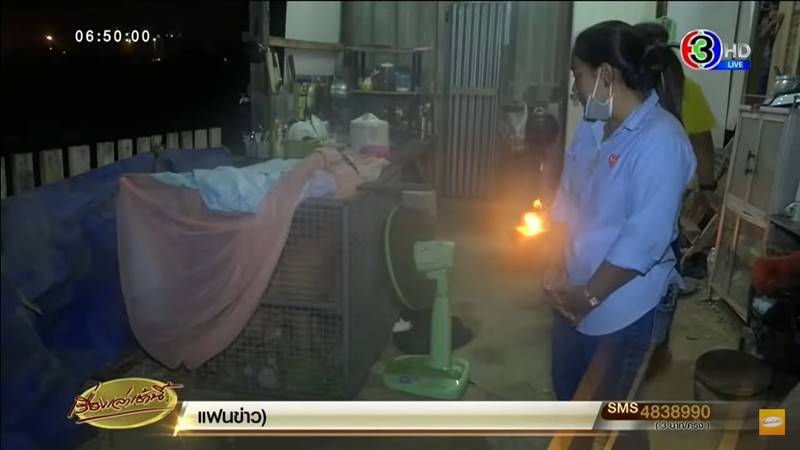 หมาพิตบูล