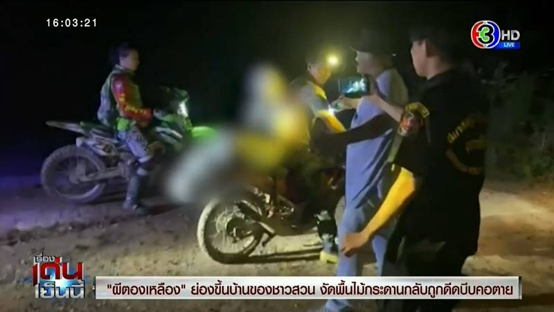 ผีตองเหลือง