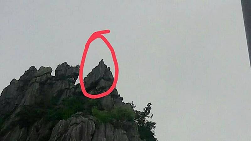 พญาวานร