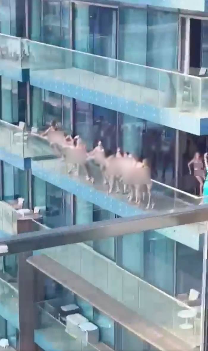 นางแบบเปลือย