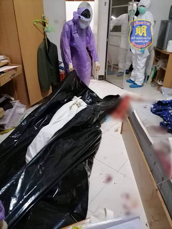 มาดามแมว, ติดหนี้