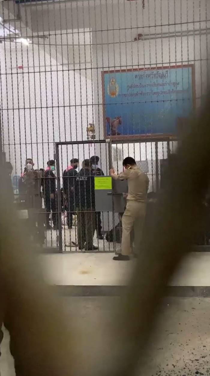 เพนกวินล่าสุด