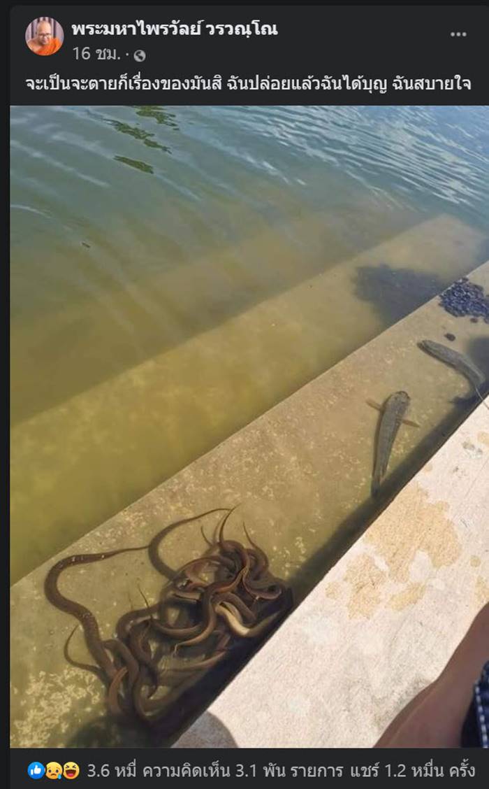 ปล่อยปลา