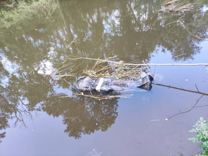 ศพลอยน้ำ