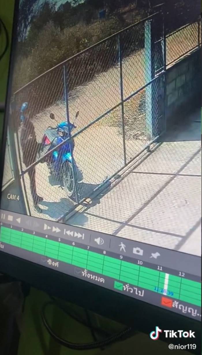 พนักงานส่งของโยนพัสดุ