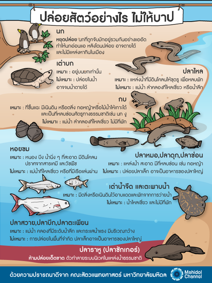 ปล่อยปลา