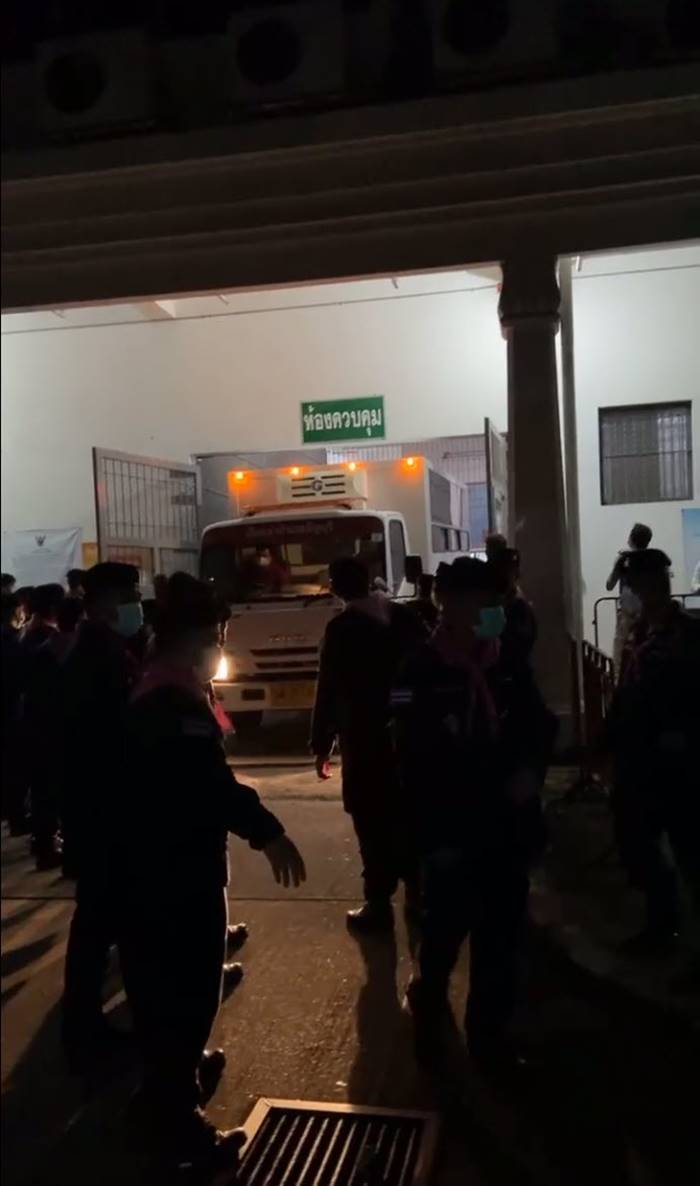 เพนกวินล่าสุด