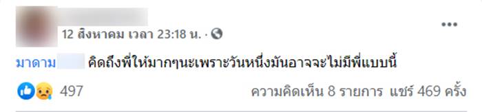 มาดามแมว, ติดหนี้