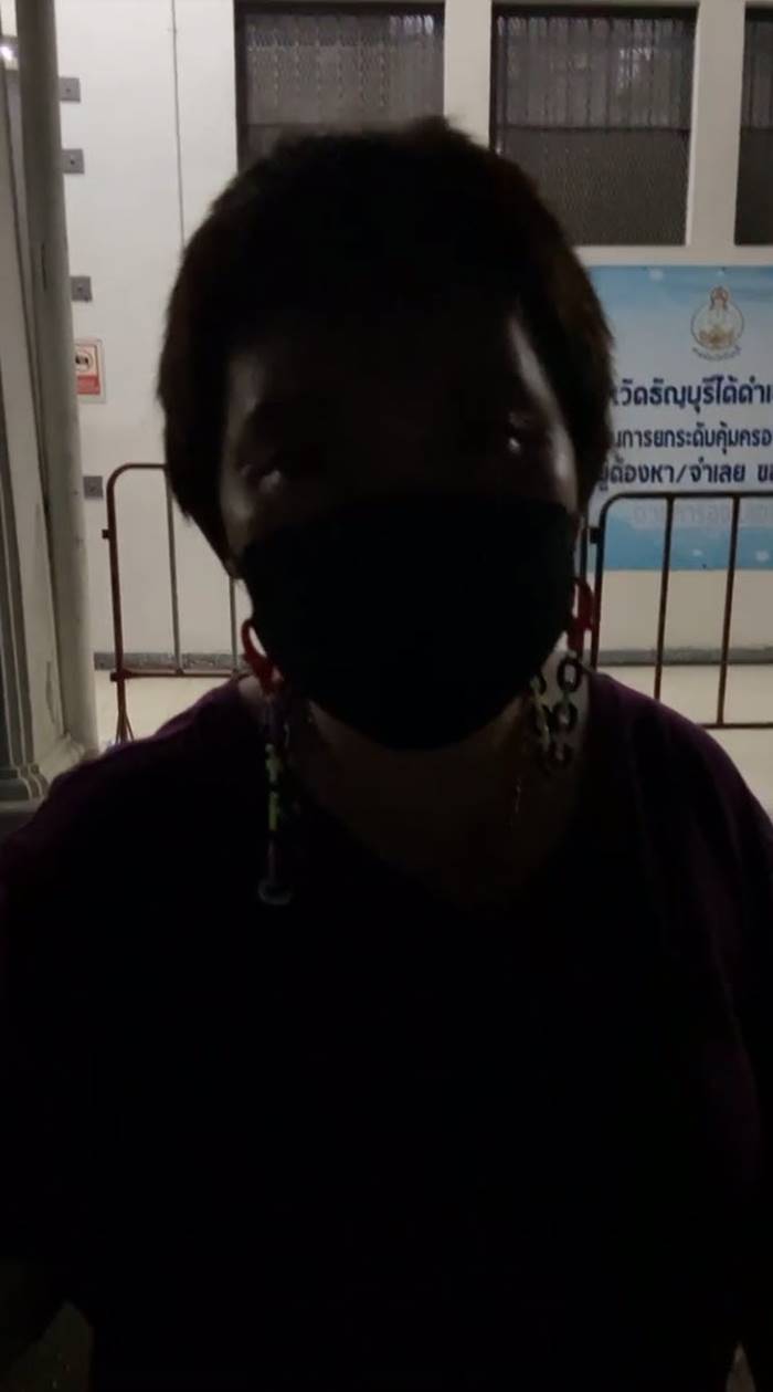 เพนกวินล่าสุด