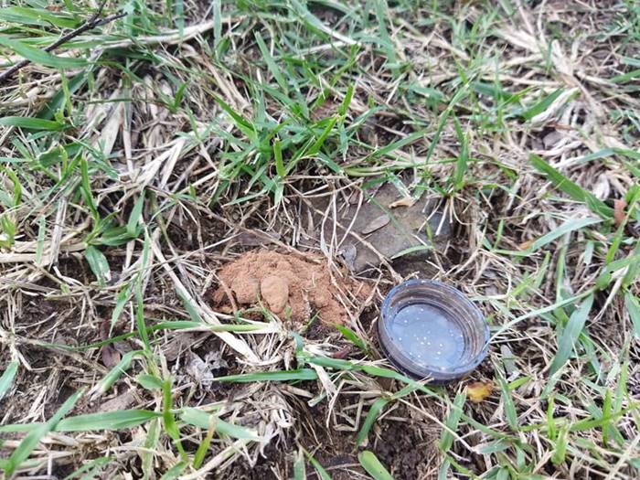 ปราสาทหินพนมรุ้ง