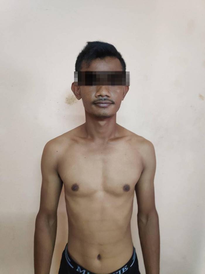 ฆ่าเหม่มสวิส