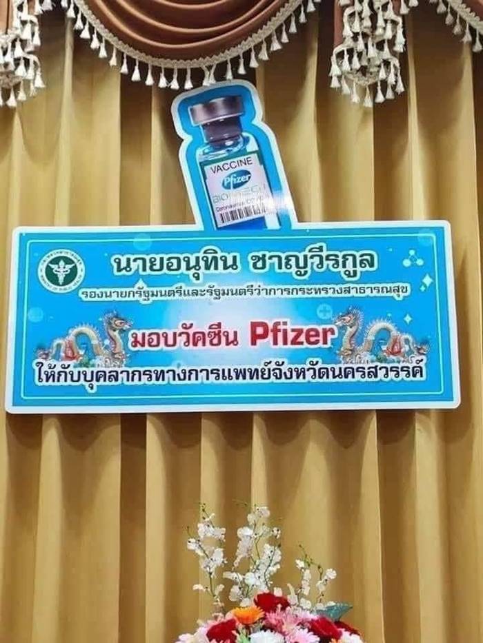 ไฟเซอร์, อนุทิน ชาญวีรกูล