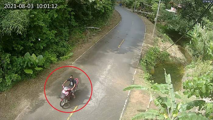 ฆ่าเหม่มสวิส