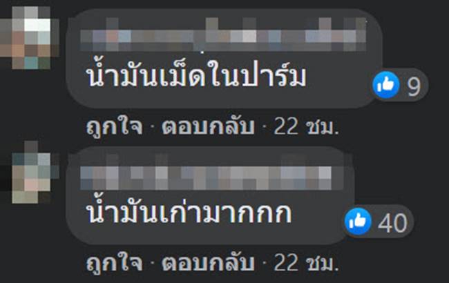 ทอดปลาสลิด
