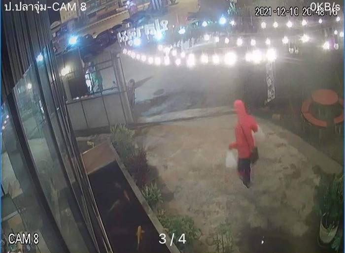 มิจฉาชีพ