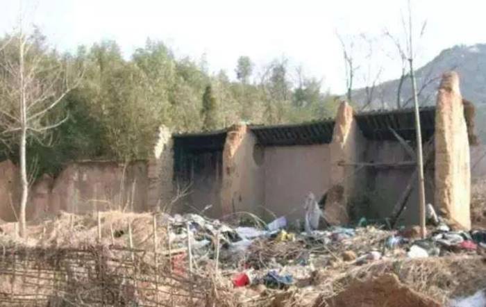 เลี้ยงลูก