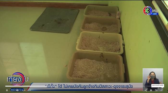 เจ๊กั้ง, นายจ้างโหด