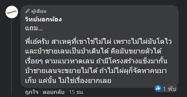 เอ้ สุชัชวีร์