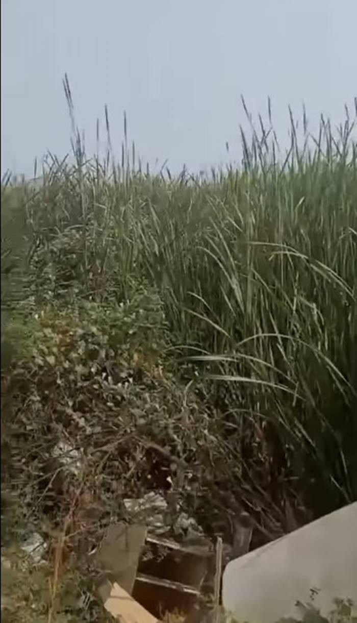 เด็กหาย