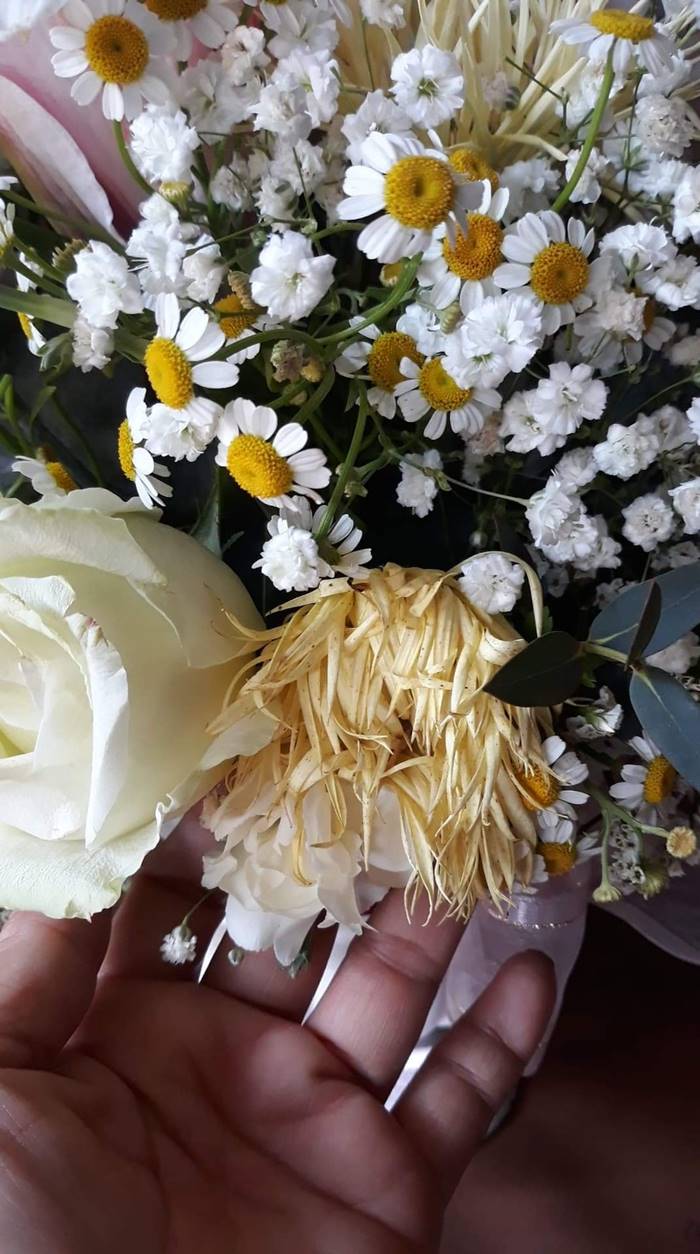 วันวาเลนไทน์