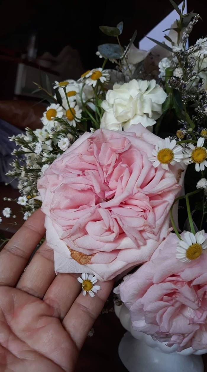 วันวาเลนไทน์